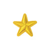 PC3507B - Gold Star (Iron On)