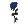 PC3063 - Mute Embroidered Blue Rose Flower L (Iron On)