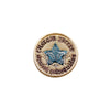 PT343 - Star Badge (Iron on)