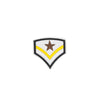 PT1269 - One Star Army Badge (Iron on)