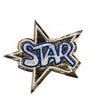 PT1098 - Golden Star (Iron on)