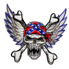 PH136 - Blue Wings Skull (Iron on)