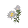 PT572 - Daisy Flower (Iron on)