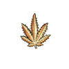 PC2905 - Golden Leaf (Iron On)