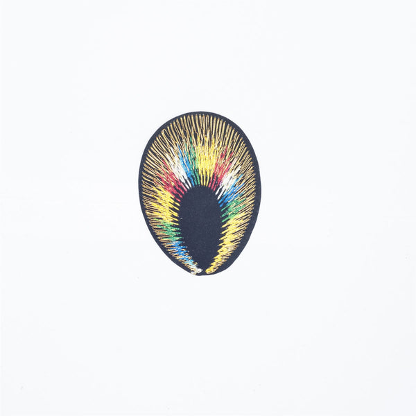 PH2019G - Colorful Feather (Iron On)