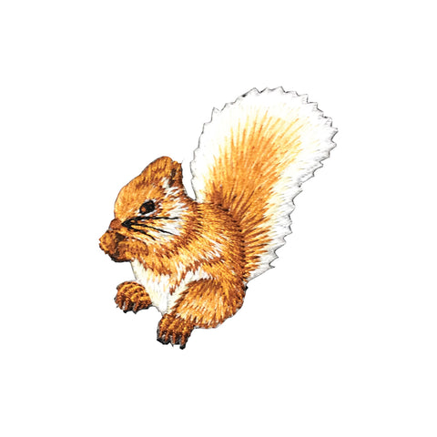 PC3675 - Squirrel (Iron On)
