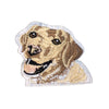 PC3158 - Labrador Dog (Iron on)