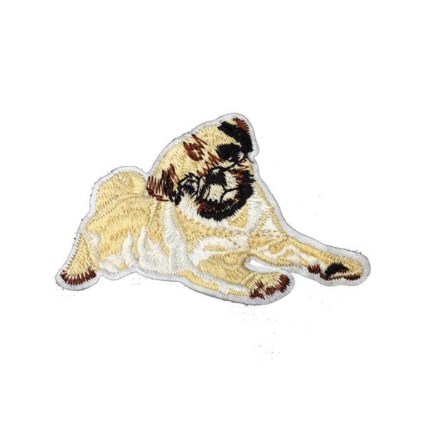 PC3160 - Pug Dog (Iron on)