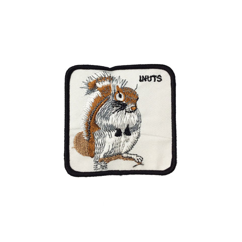 PC3894B - Squirrel Eat Nuts (Iron On)