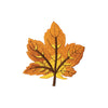 PC4000A - Autumn Leaf Orange Leaves (Iron On)