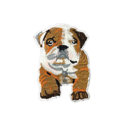 PC3559 - Brown British Bulldog Puppy (Iron On)