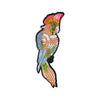 PC2809 - Colourful Parrot L (Iron On)