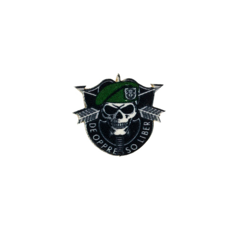 PT1141 - Skull Arrows Velvet (Iron on)
