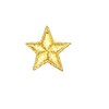PH142 - Mini Gold Star (Sew on)