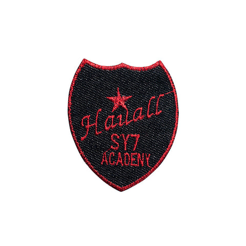 PT597 - Hauall academy (Iron on)