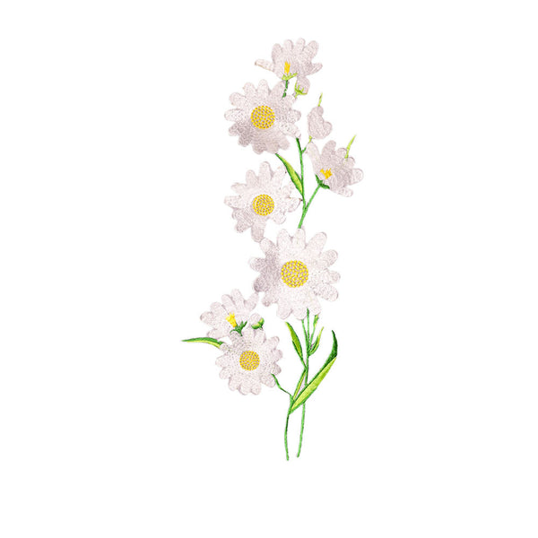 PT1878 - White Daisy Flower XL (Iron on)
