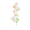 PT1878 - White Daisy Flower XL (Iron on)