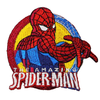 PH9 - Amazing Spiderman (Iron on)