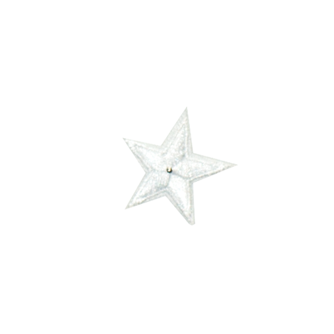 PH150 - White Star (Iron on)