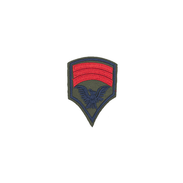 PT1260 - Army Badge (Iron on)