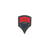 PT1260 - Army Badge (Iron on)