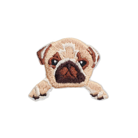 PH716 - Pug puppy dog (Iron on)