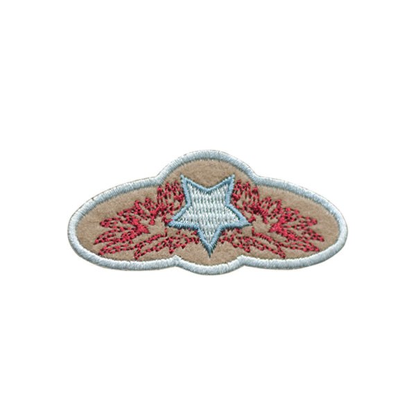 PT342 - Star Pilot Bagde (Iron on)