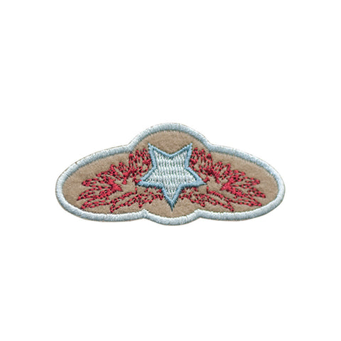 PT342 - Star Pilot Bagde (Iron on)