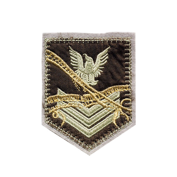 PT539 - Eagle Badge (Iron on)