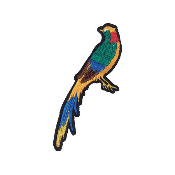 PC3589 - Long Tail Bird (Iron On)