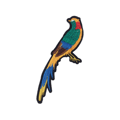 PC3589 - Long Tail Bird (Iron On)